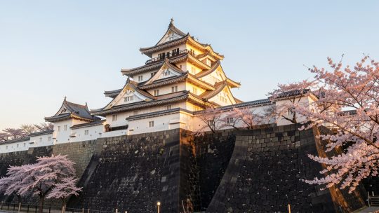 Comment visiter Kumamoto : château, jardins, saveurs et volcans ?